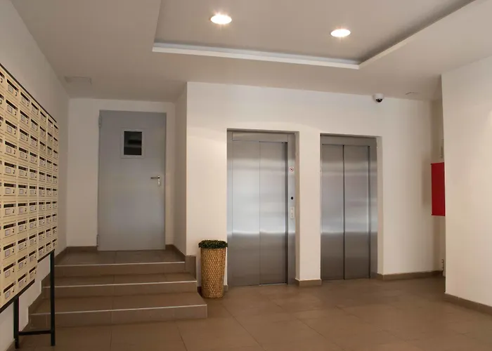 Maple Tree Budget Boedapest