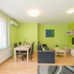 Maple Tree Budget Будапешт