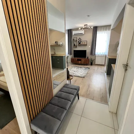 公寓 Maple Tree Budget 布达佩斯