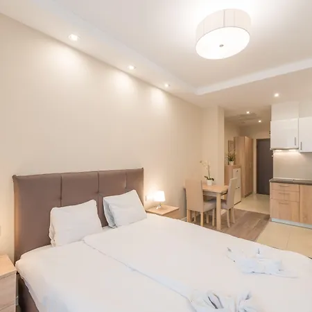 公寓 Maple Tree Budget 布达佩斯