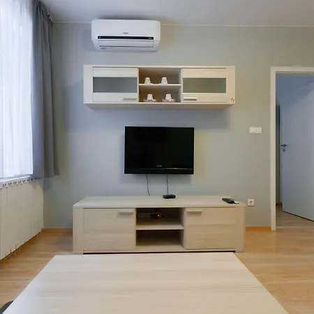 Maple Tree Budget 公寓 布达佩斯