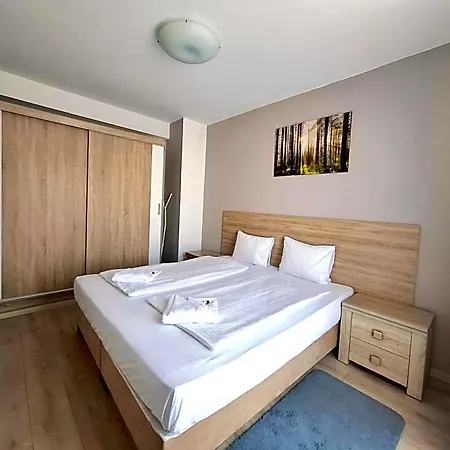 Maple Tree Budget * Budapest