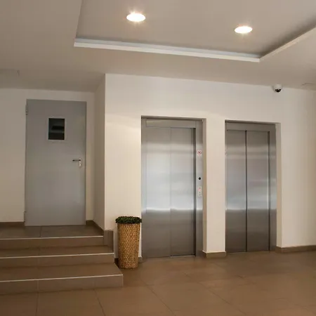 Apartament Maple Tree Budget