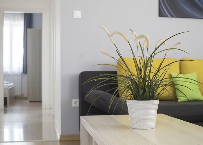 Maple Tree Budget Apartament *