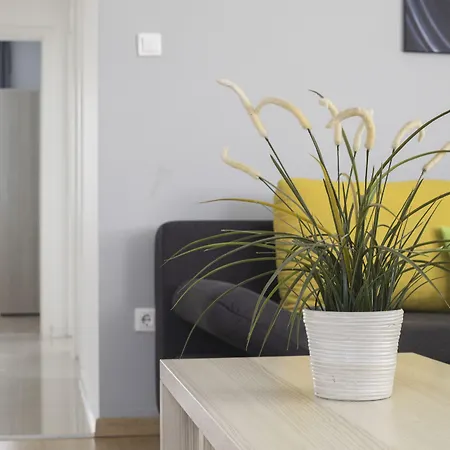 Maple Tree Budget Apartament *