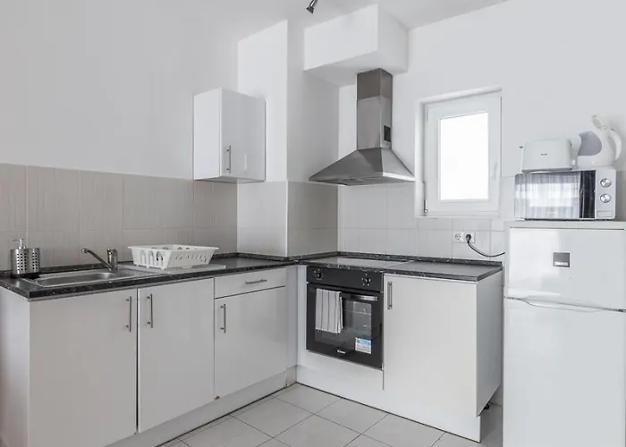 Maple Tree Budget Budapest